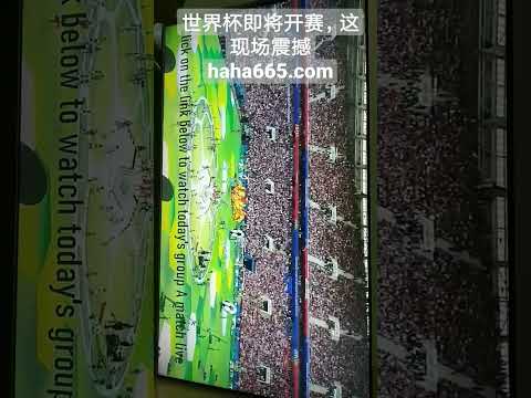 阿根廷最终,名单中无埃,切维里身影,188bet金宝博体育,188Bet,188bet金宝博体育网址,188bet金宝博app,188bet金宝博官网,188bet金宝博集团